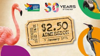$2.50 Jurong Bird Park Admission Ticket For January 2021 8 Jurong Bird Park 2021 Jan promotion