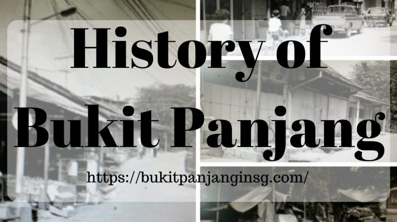 A Brief History of Bukit Panjang